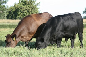 Ranch Tour | Judd Ranch